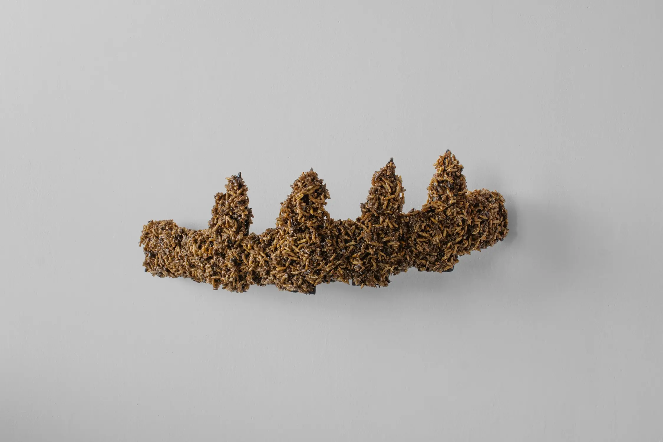 Andrew Obernesser - A Fence, A Folly, 2025