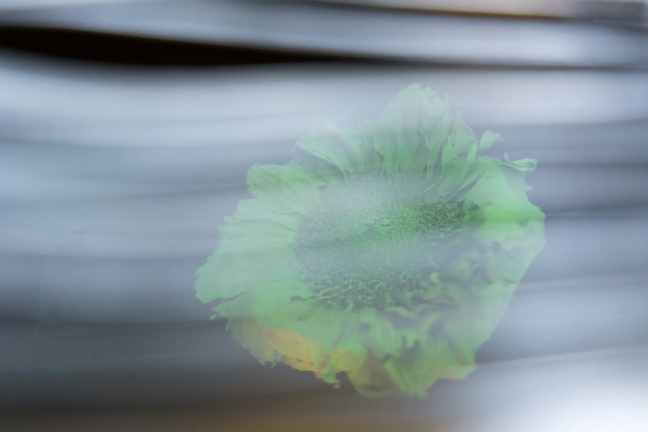 Andrew Obernesser - Chroma Sunflower, 2021