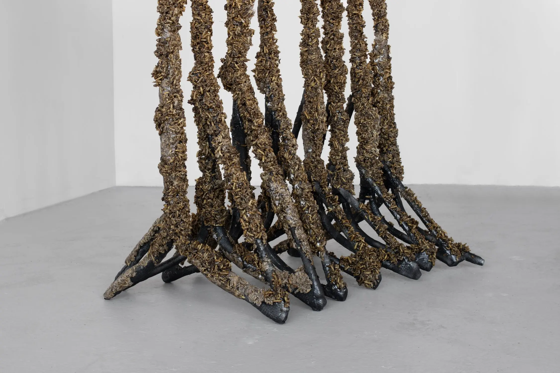 Andrew Obernesser - Larval Interlude 38, 2025