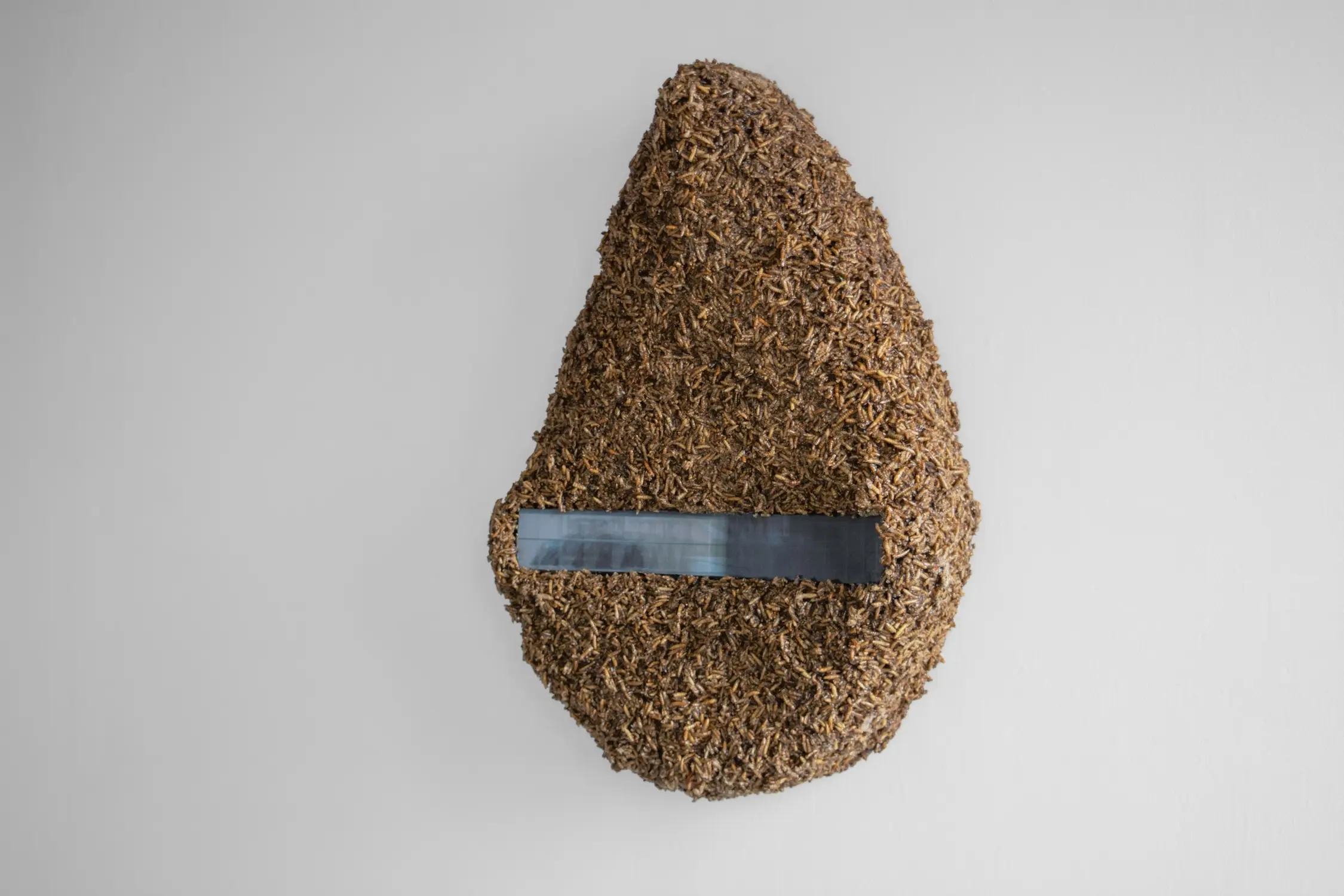 Andrew Obernesser - Millenial Timepiece, 2025