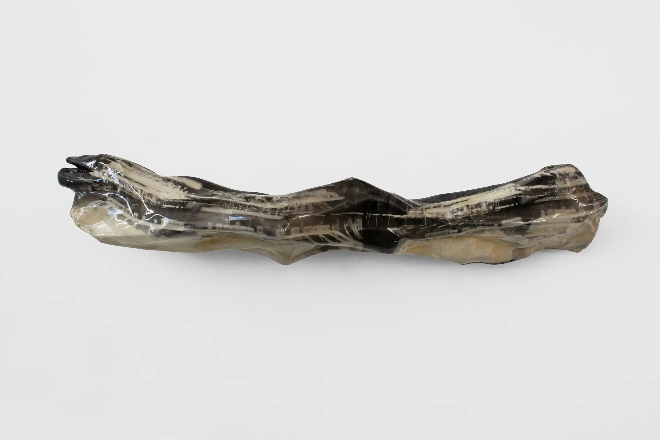 Andrew Obernesser - Radula ut Glaciem, 2025