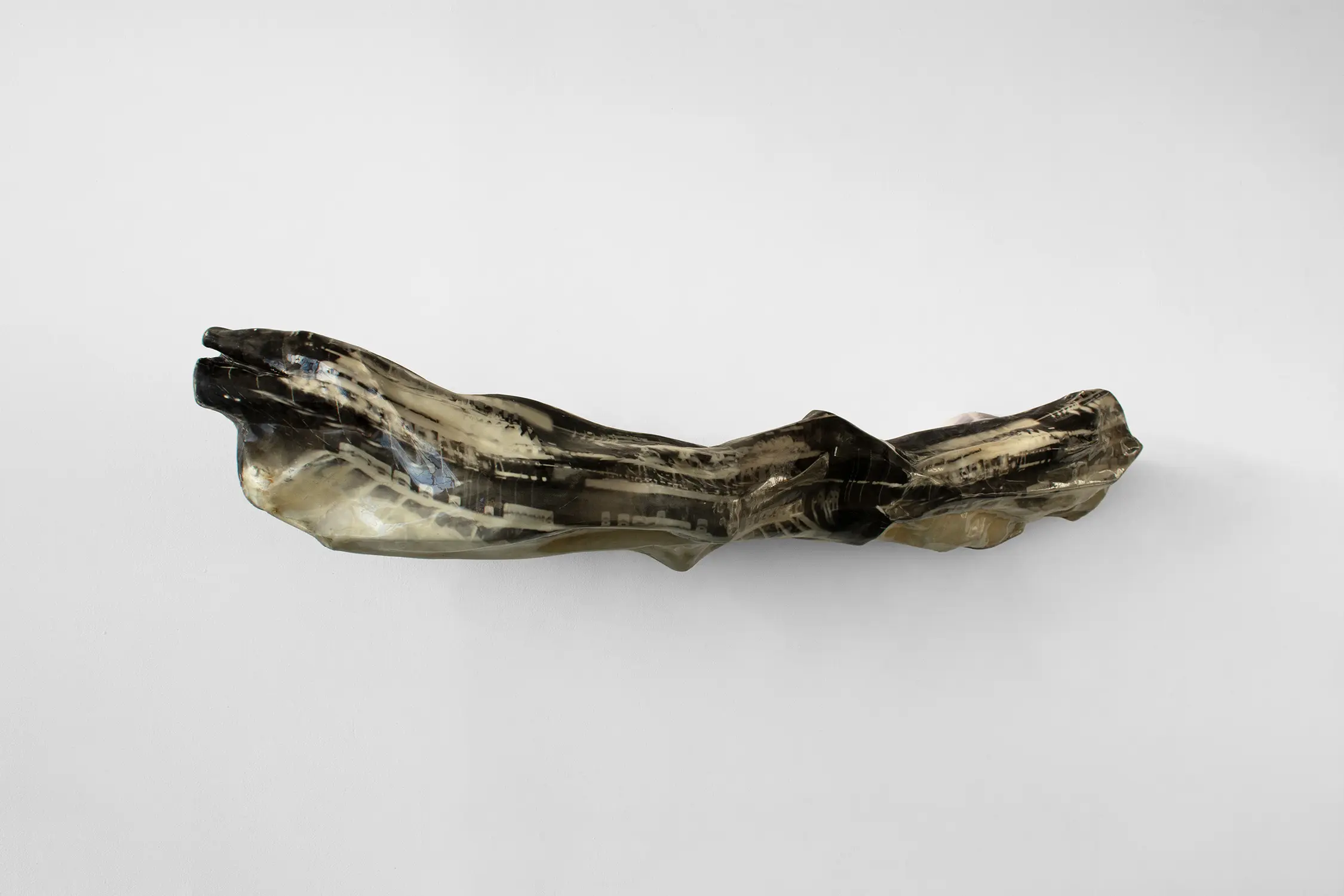 Andrew Obernesser - Radula ut Glaciem, 2025